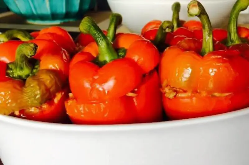 Gevulde paprika met gekruid gehakt