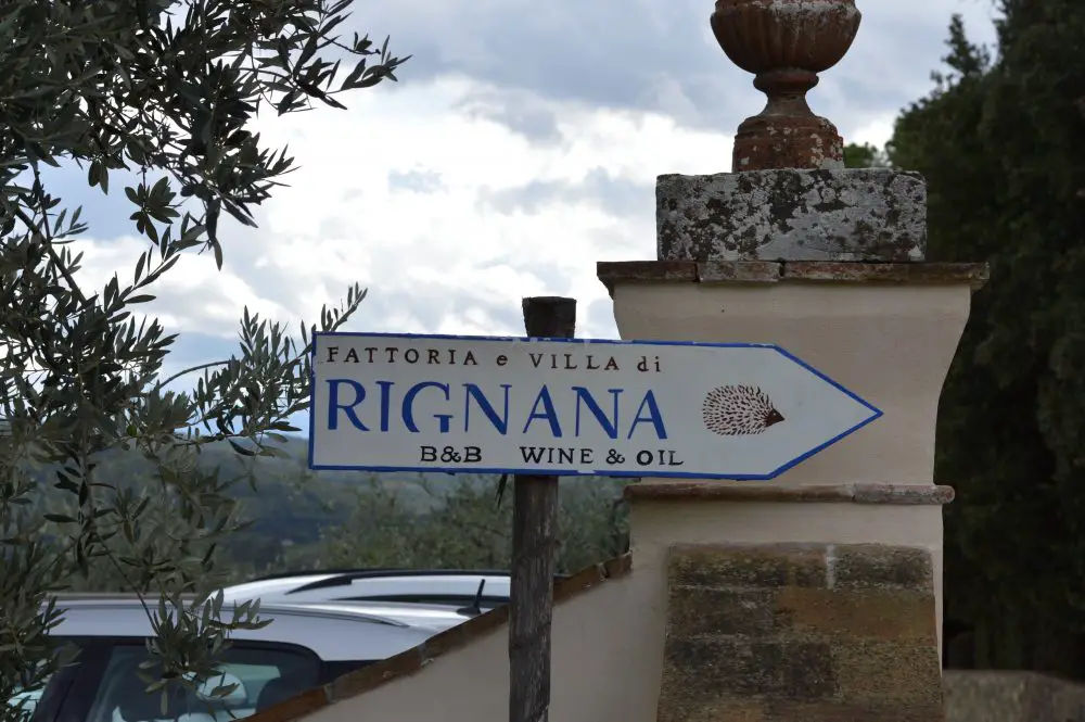 Op bezoek in de wijngaard | WijnSpijs is bij wijnhuis Rignana in Toscana Chianti