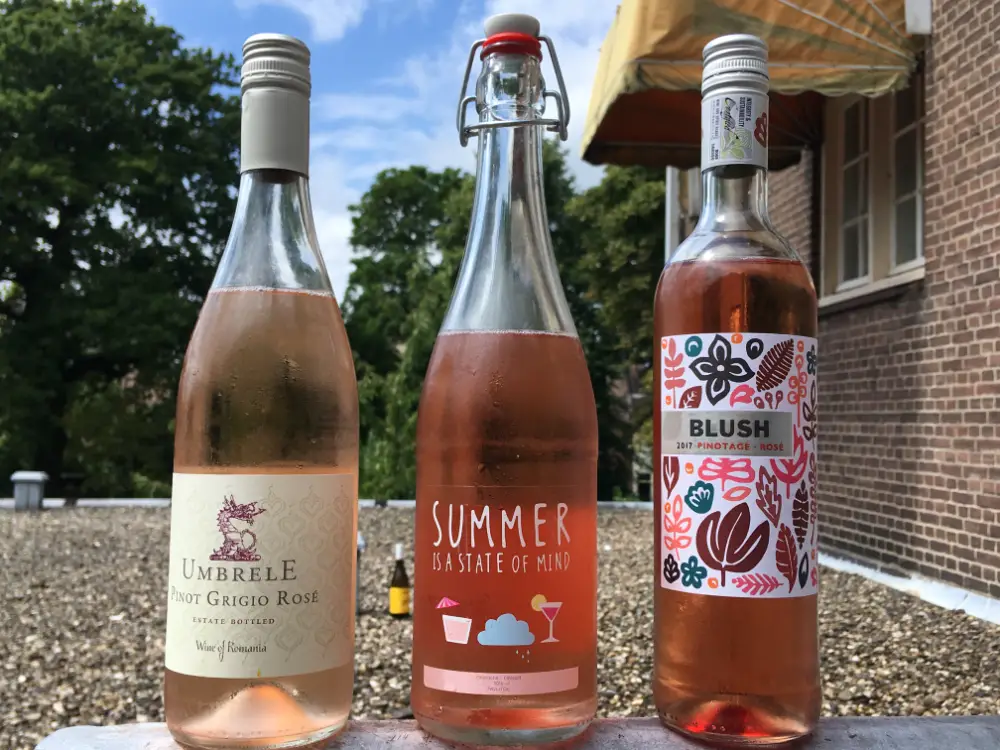 WINE REVIEW | SUMMER is coming! Drink 3 x ROSE van de HEMA