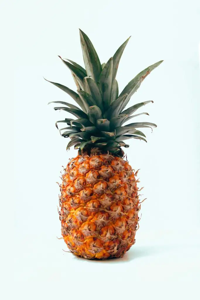 Ananas Pina Colada