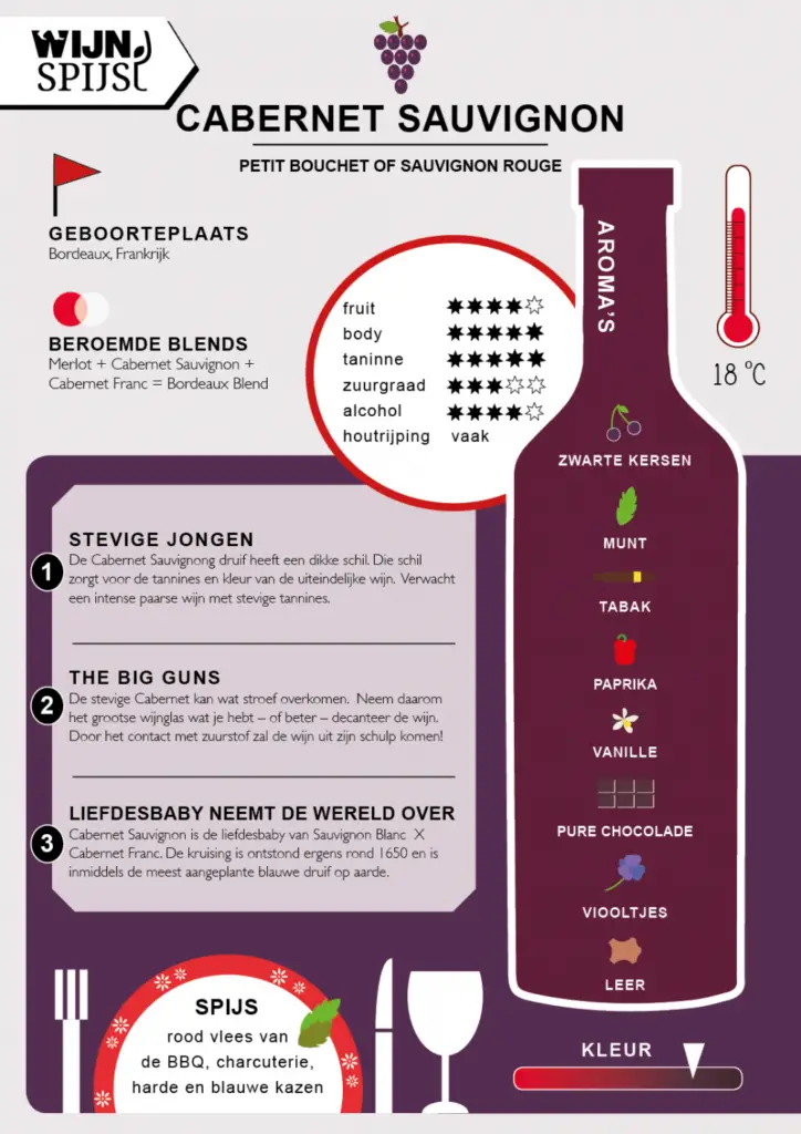Cabernet sauvignon infographic
