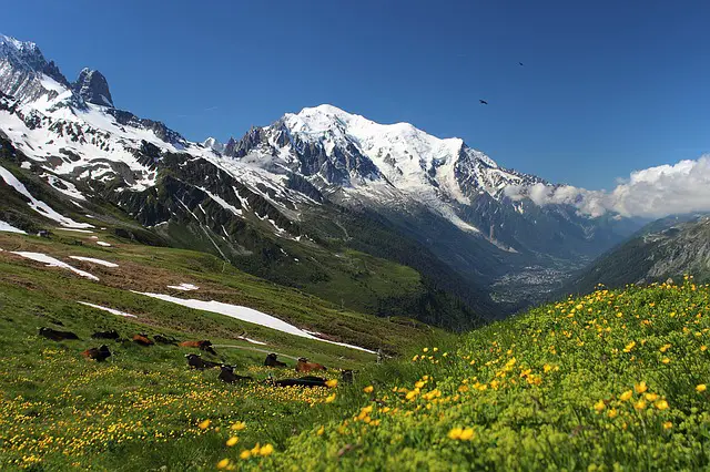 bergen met sneeuw Mont Blanc