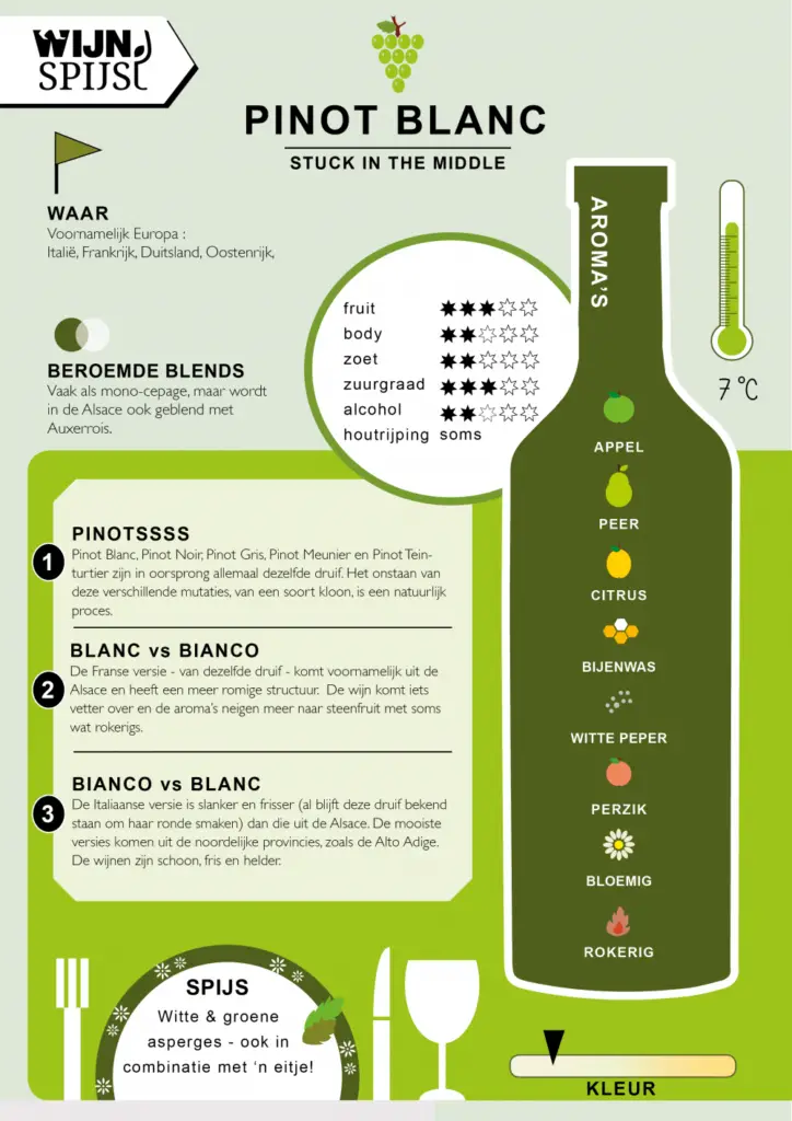 Pinot blanc infographic