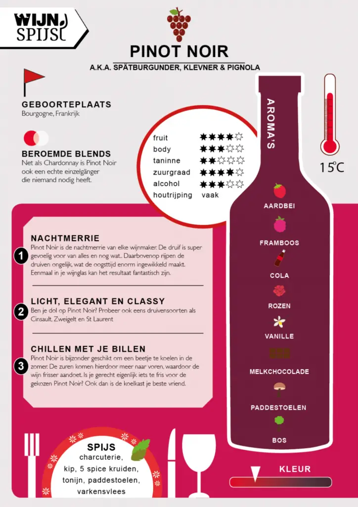 Pinot noir infographic
