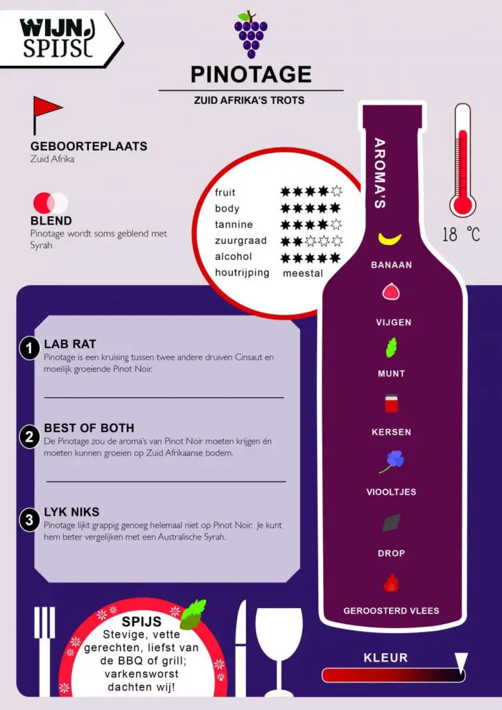 Pinotage infographic