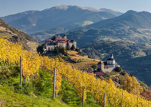 Wijngebied Alto Adige
