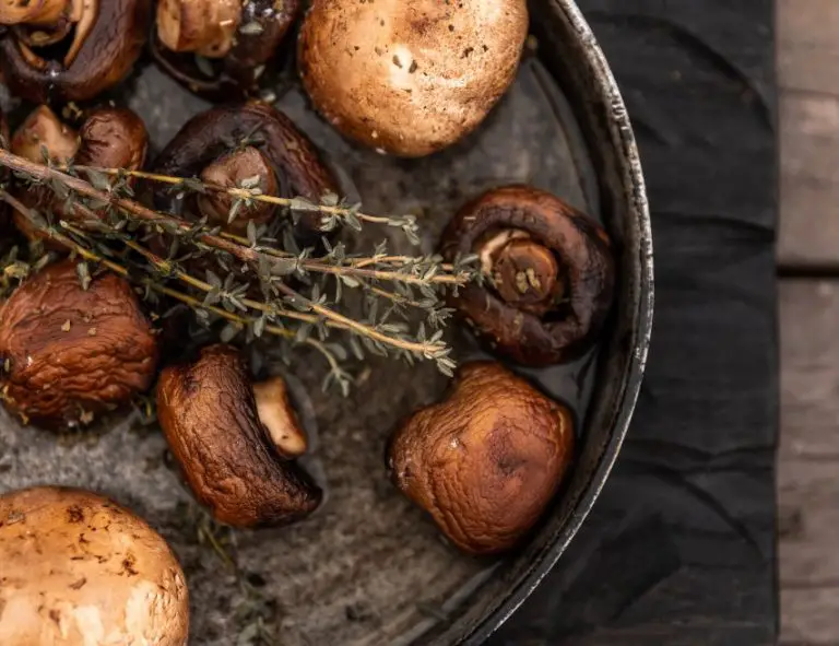 food-plate-mushrooms-thyme