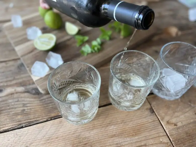 rebujito-cocktail-met-sherry-en-limoen